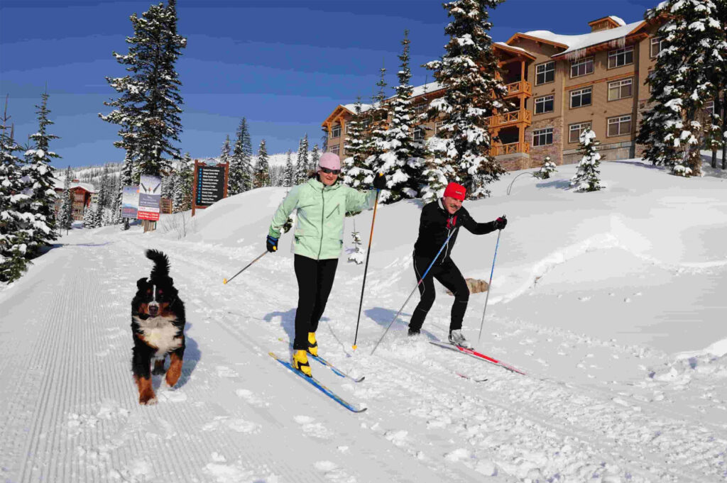 Two locals going cross country skiing with a dog looking pumped for a day of winter excitement at Big White.