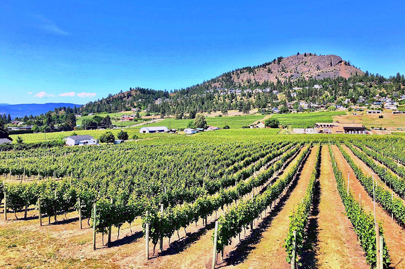 Mt. Boucherie Estate Winery